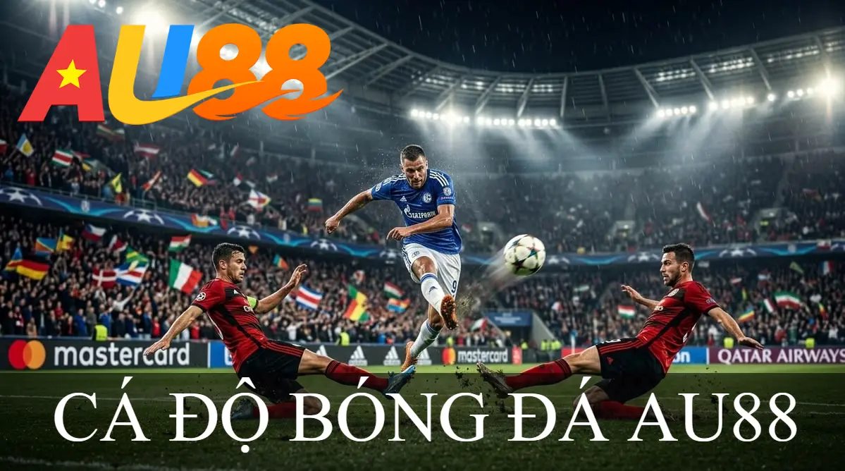 cá độ bóng đá au88